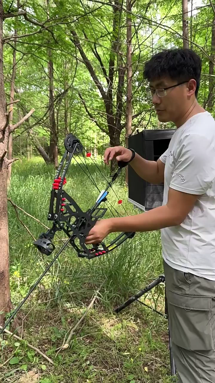标准箭入木实测